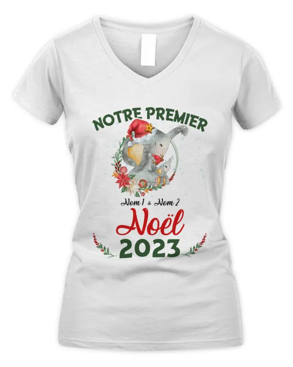 Women's V-Neck T-Shirt