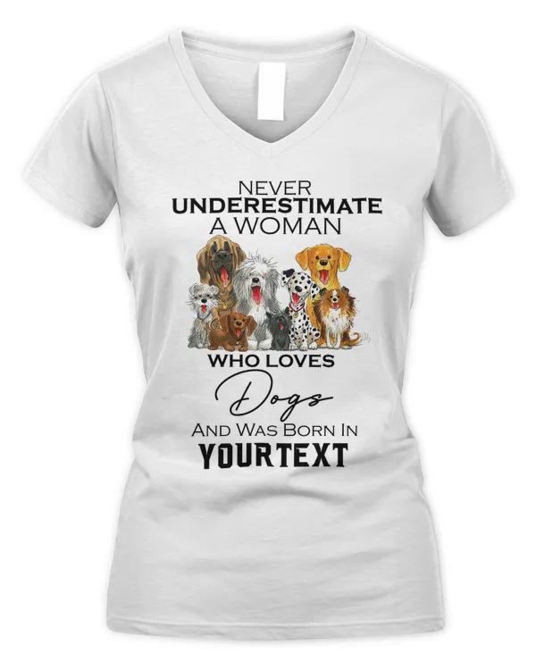 Women's V-Neck T-Shirt