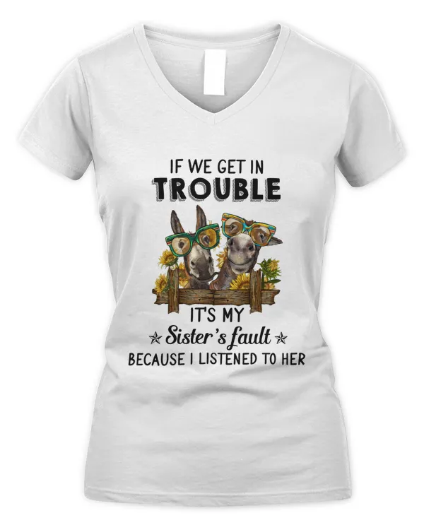 Women's V-Neck T-Shirt