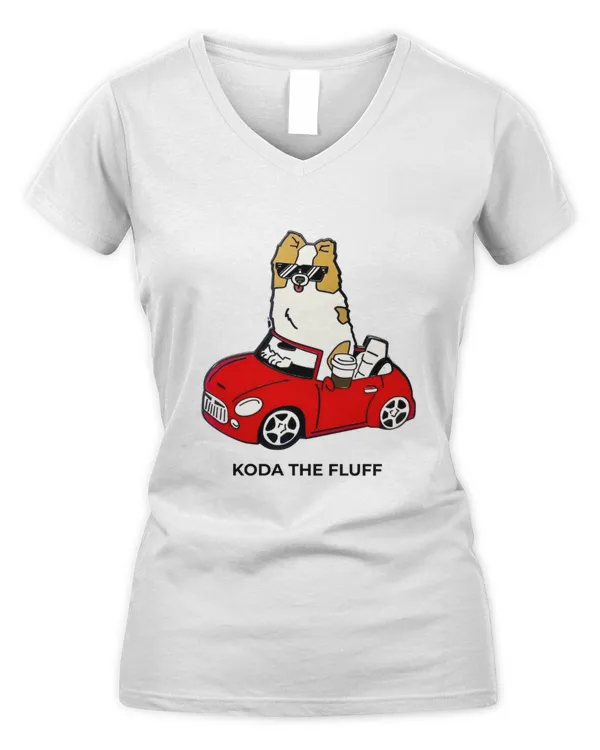 Women's V-Neck T-Shirt