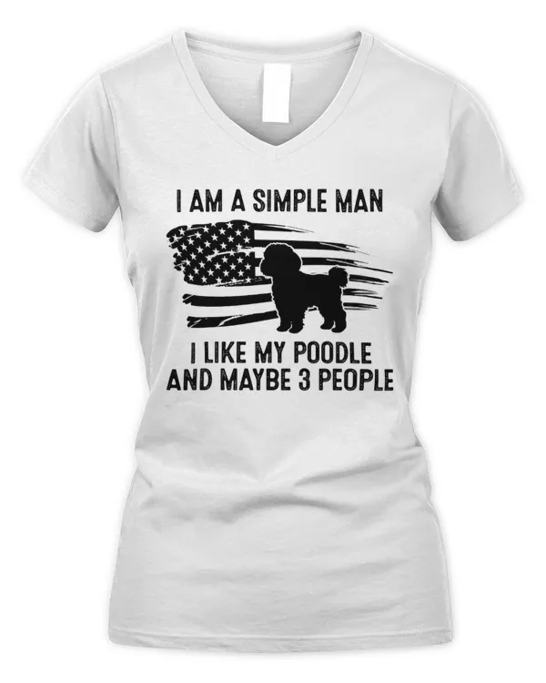 Women's V-Neck T-Shirt