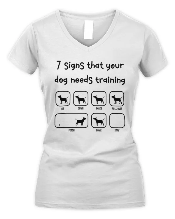 Women's V-Neck T-Shirt