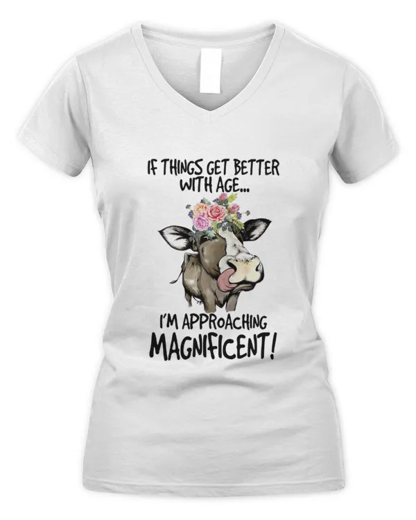 Women's V-Neck T-Shirt