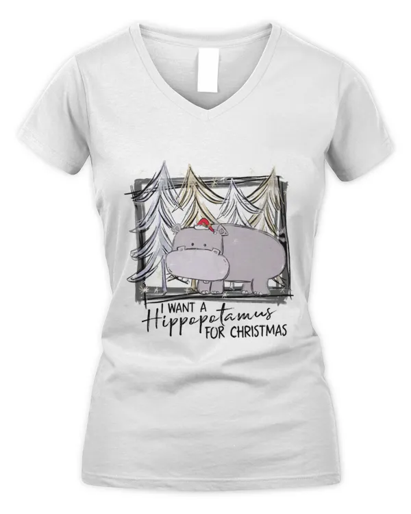 Women's V-Neck T-Shirt