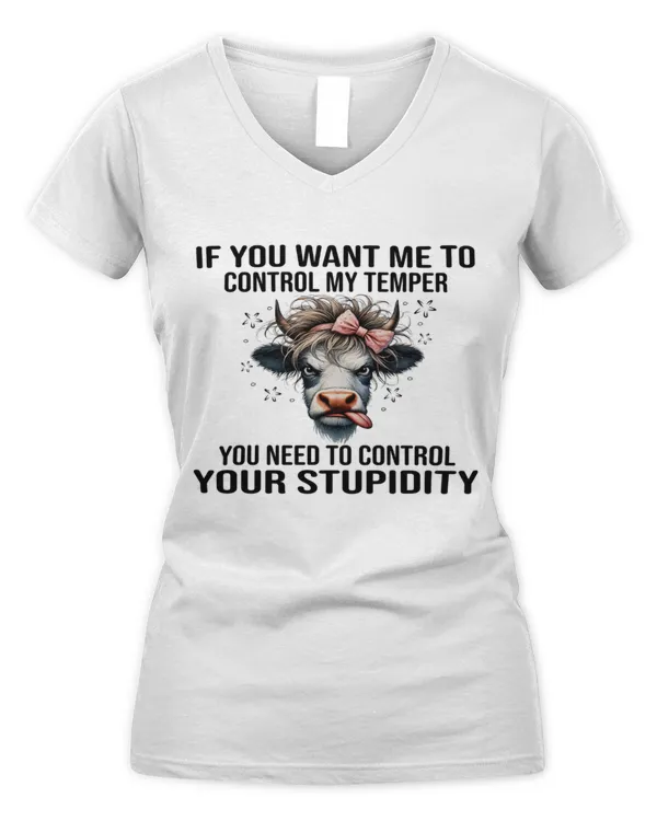 Women's V-Neck T-Shirt