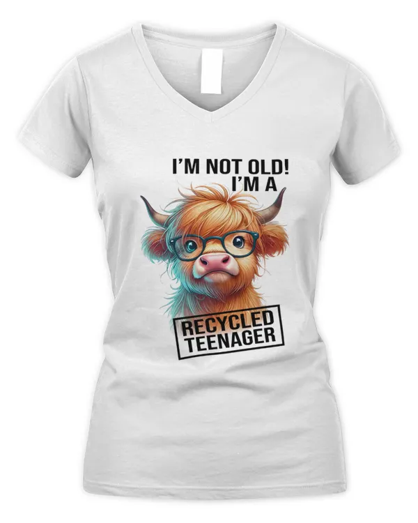 Women's V-Neck T-Shirt