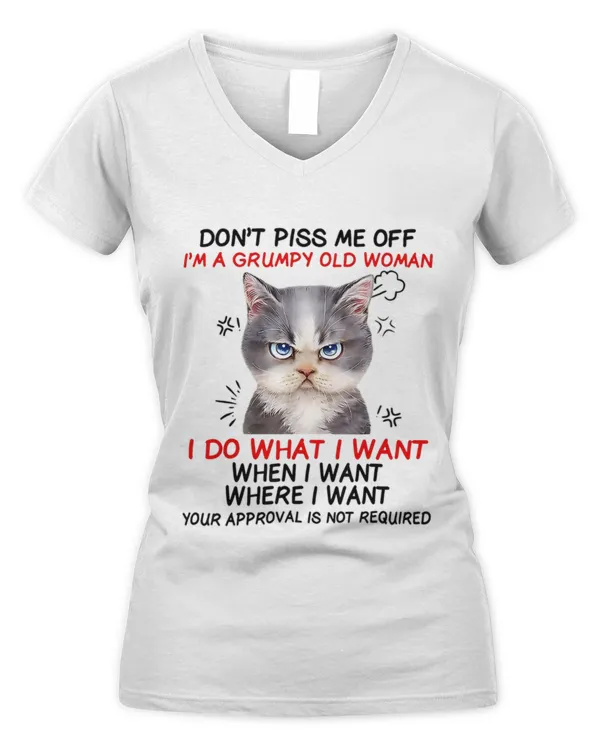 Women's V-Neck T-Shirt