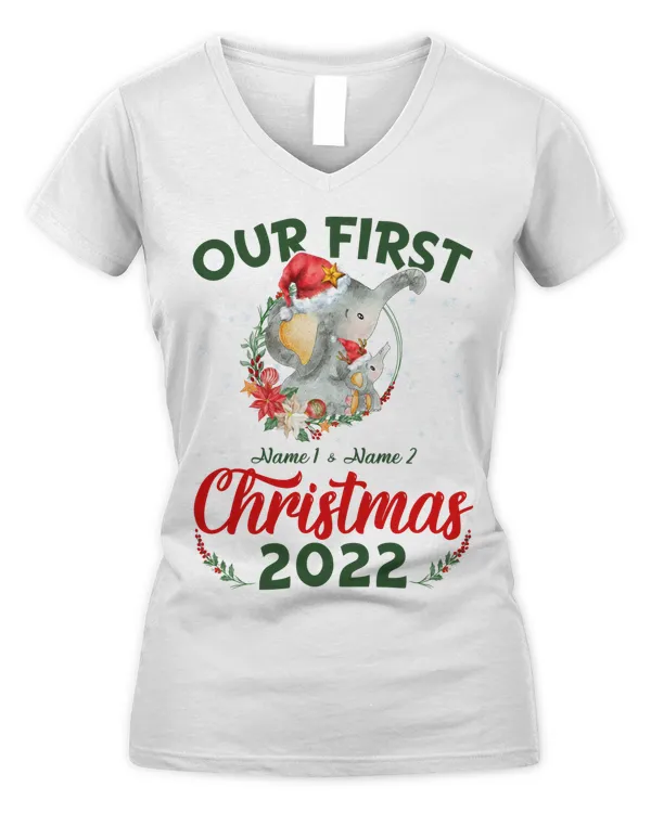 Women's V-Neck T-Shirt
