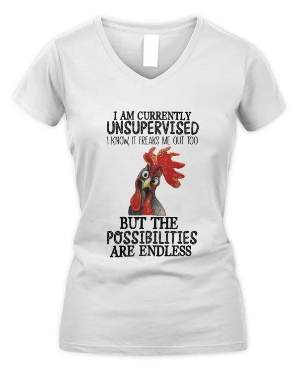 Women's V-Neck T-Shirt