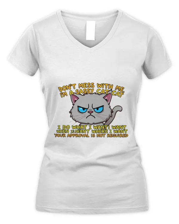 Women's V-Neck T-Shirt