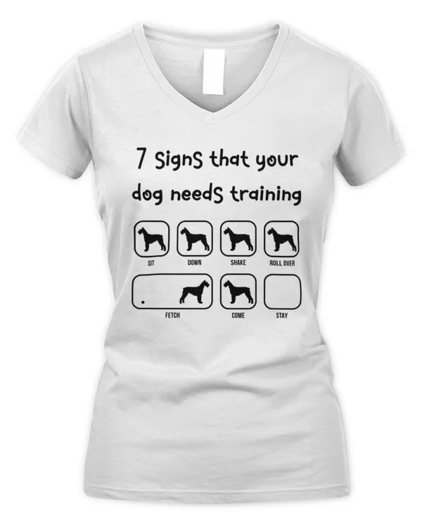 Women's V-Neck T-Shirt
