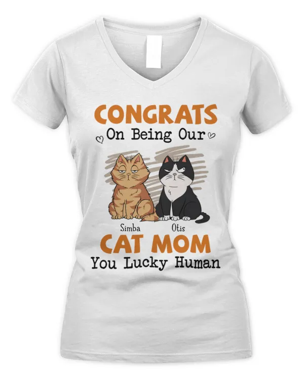 Women's V-Neck T-Shirt