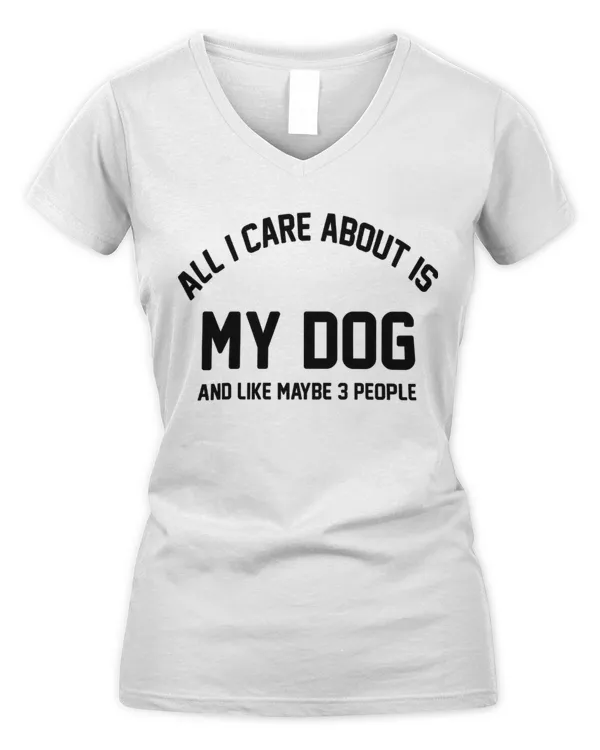 Women's V-Neck T-Shirt
