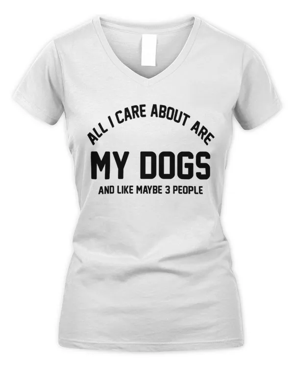 Women's V-Neck T-Shirt