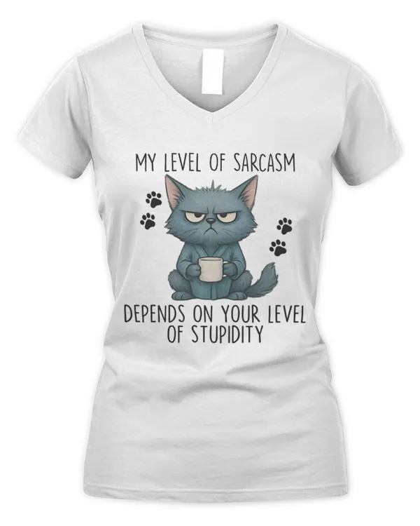Women's V-Neck T-Shirt