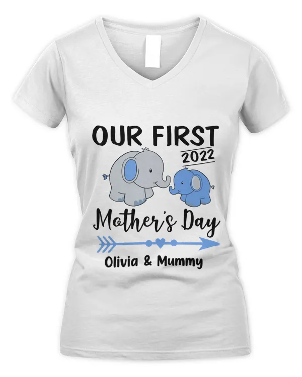 Women's V-Neck T-Shirt