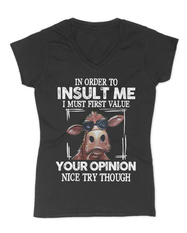 Women's V-Neck T-Shirt