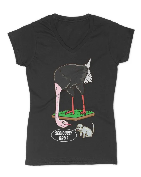 Women's V-Neck T-Shirt