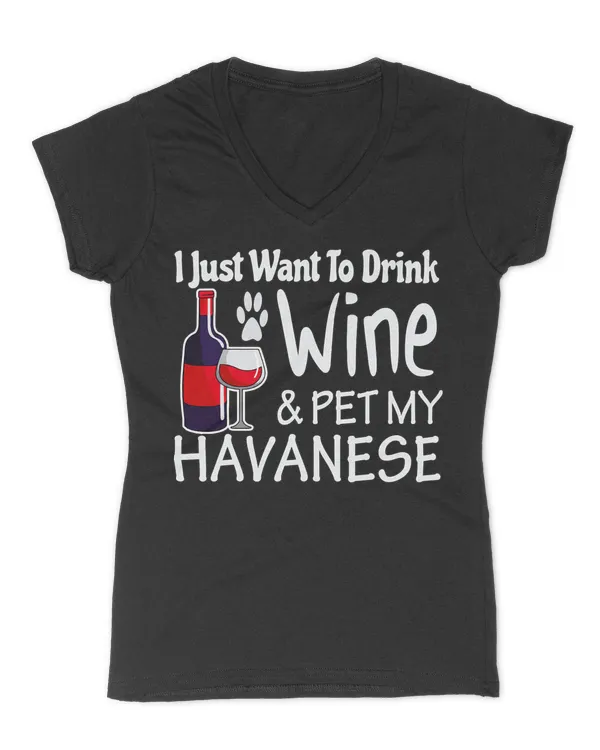 Women's V-Neck T-Shirt