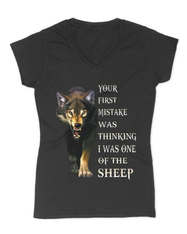 Women's V-Neck T-Shirt