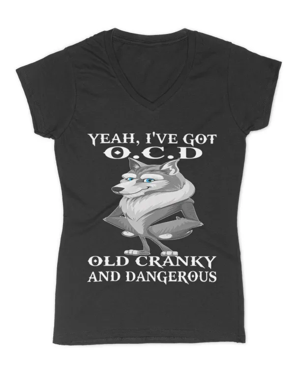 Women's V-Neck T-Shirt