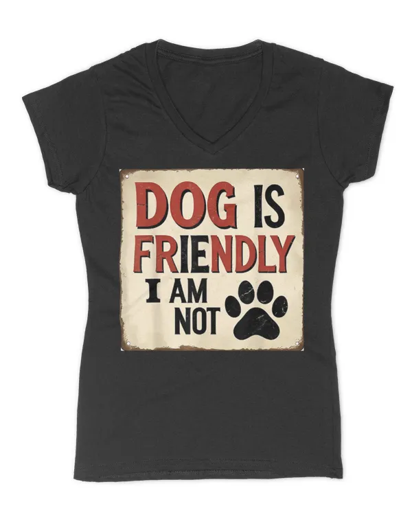 Women's V-Neck T-Shirt