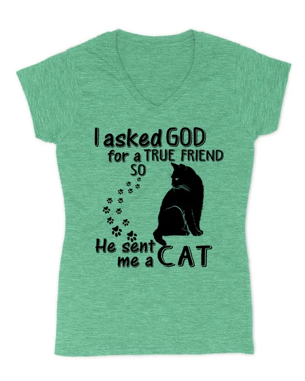 Women's V-Neck T-Shirt