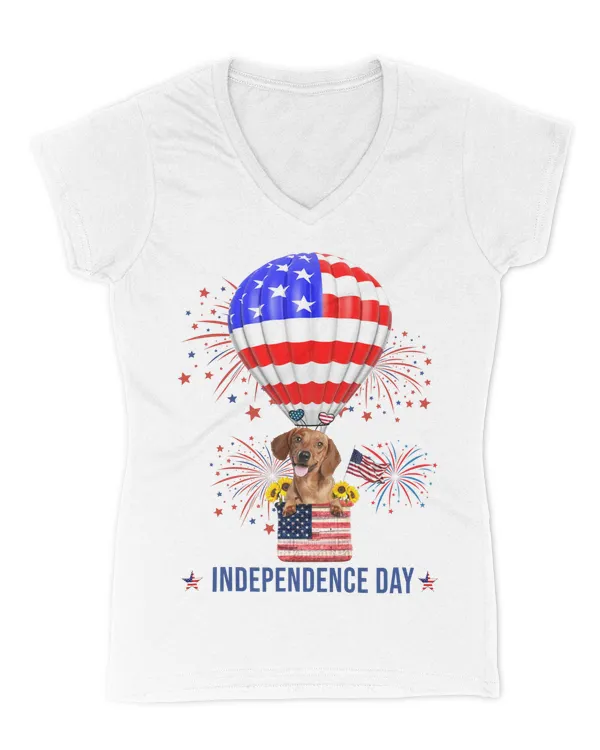 Women's V-Neck T-Shirt