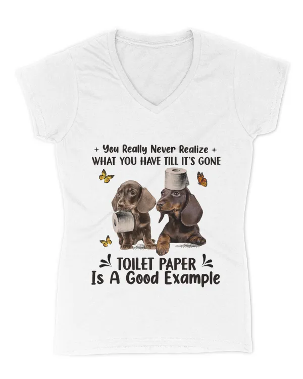 Women's V-Neck T-Shirt