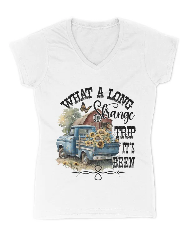 Women's V-Neck T-Shirt
