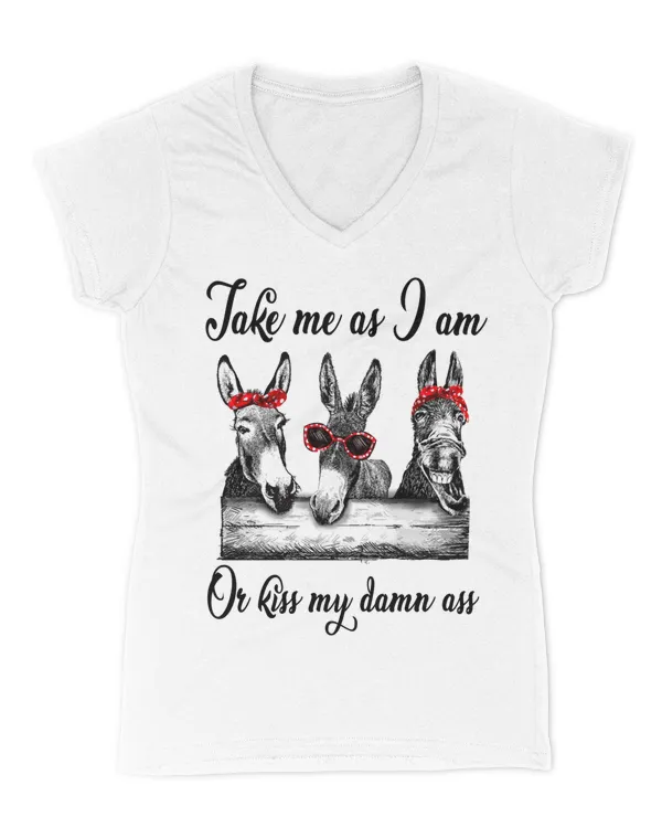 Women's V-Neck T-Shirt