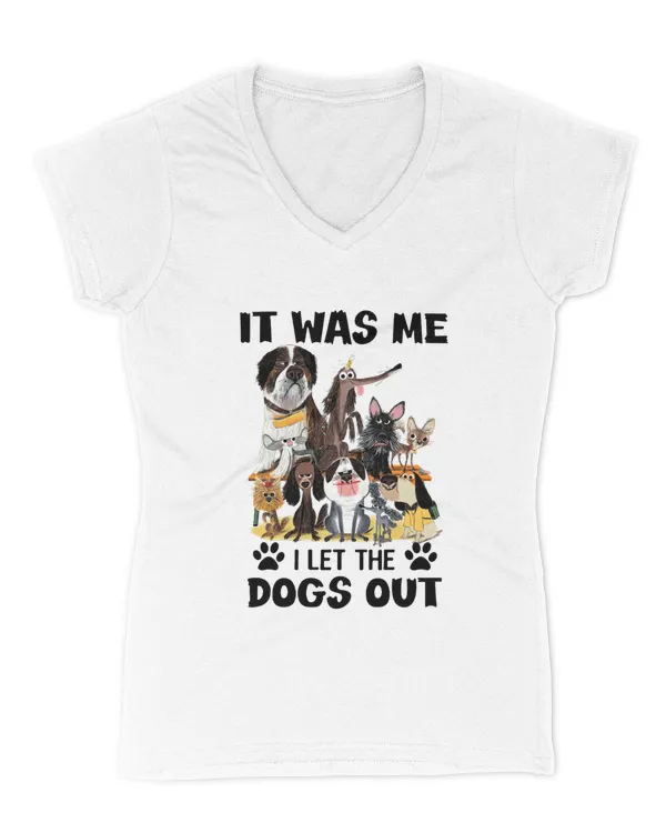 Women's V-Neck T-Shirt