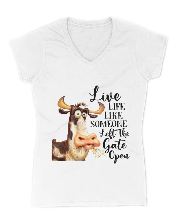 Women's V-Neck T-Shirt