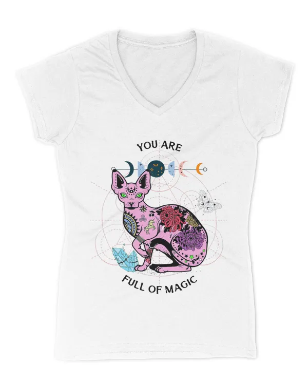 Women's V-Neck T-Shirt