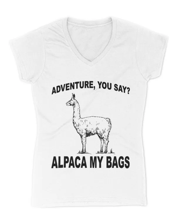 Women's V-Neck T-Shirt