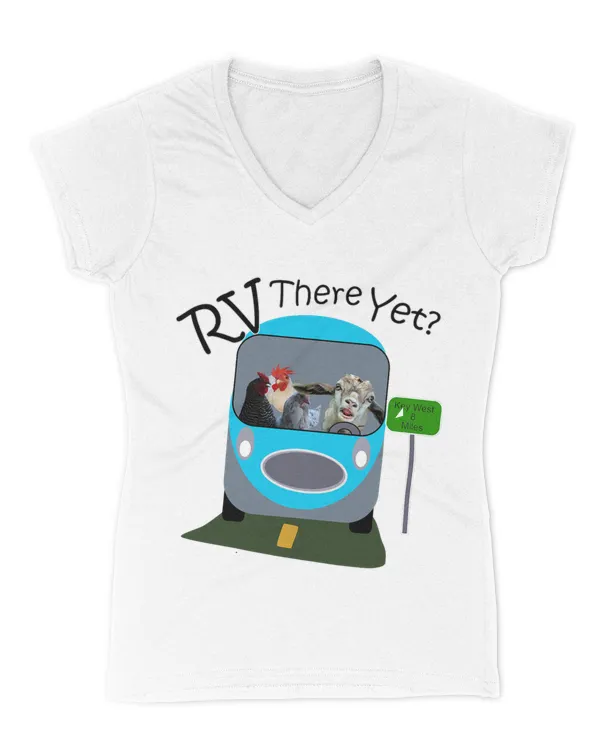 Women's V-Neck T-Shirt