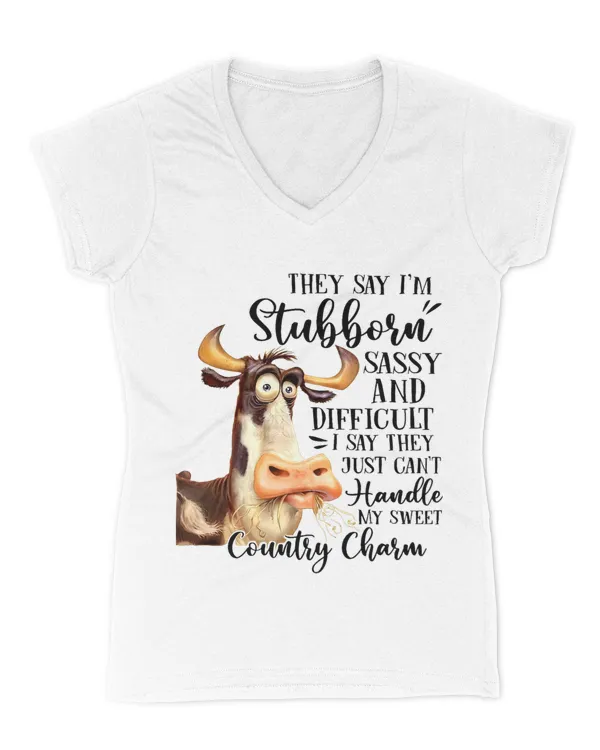 Women's V-Neck T-Shirt