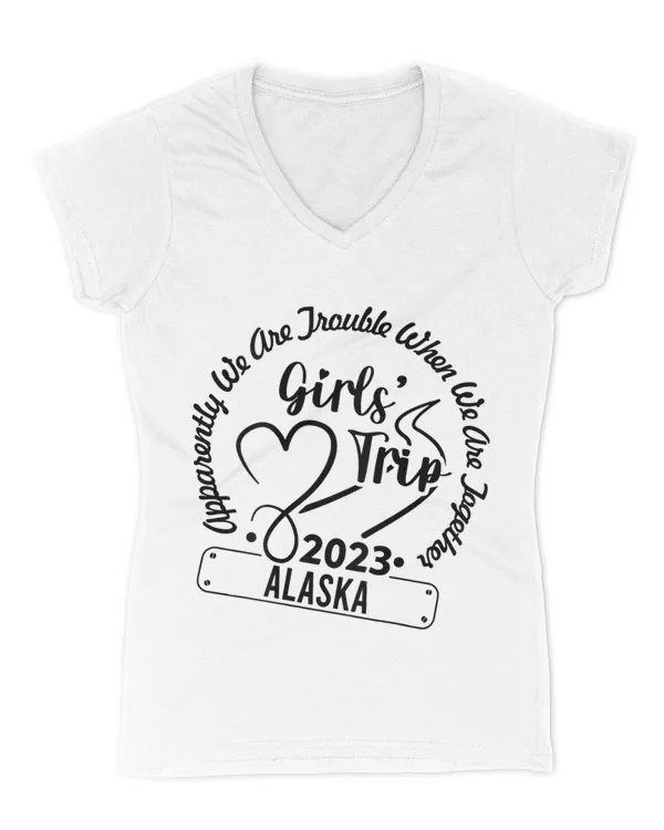 Women's V-Neck T-Shirt