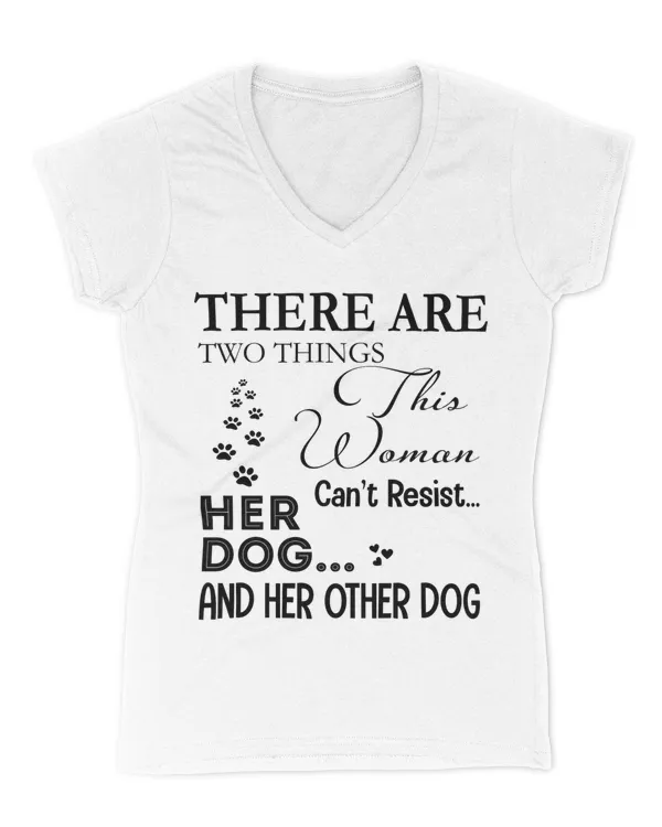 Women's V-Neck T-Shirt