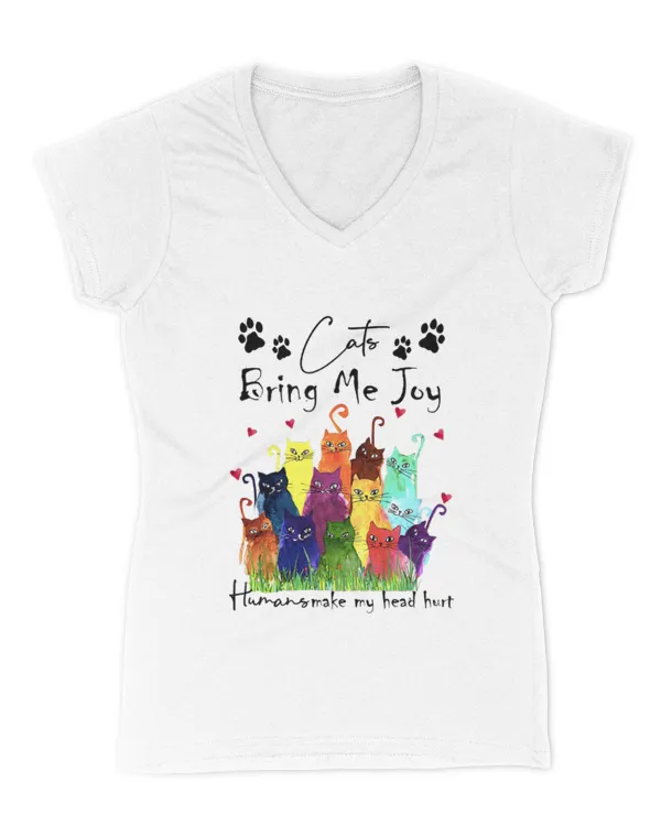 Women's V-Neck T-Shirt