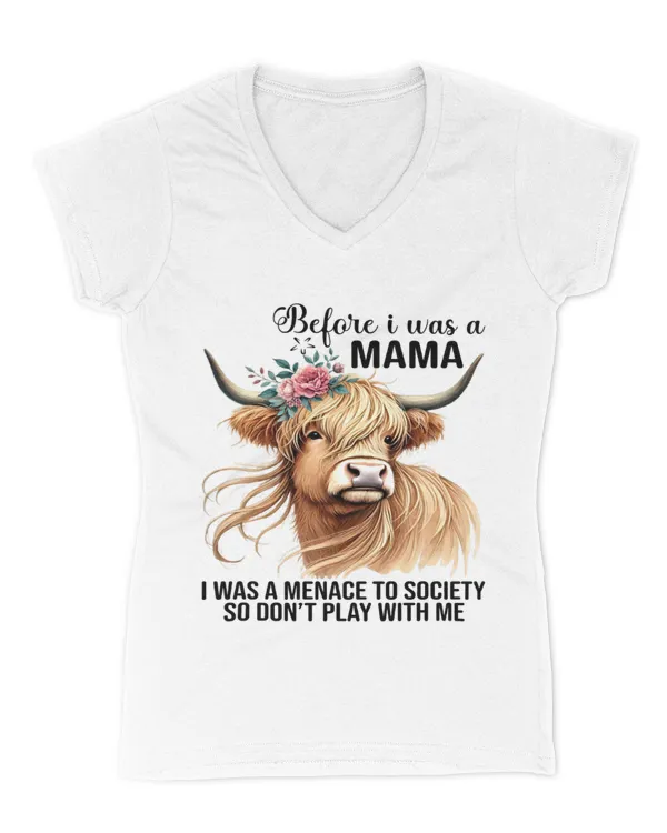 Women's V-Neck T-Shirt
