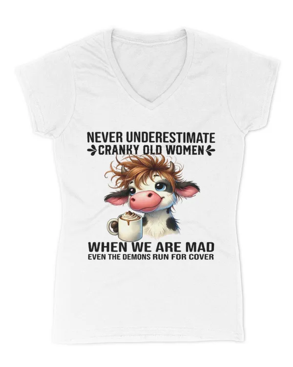 Women's V-Neck T-Shirt