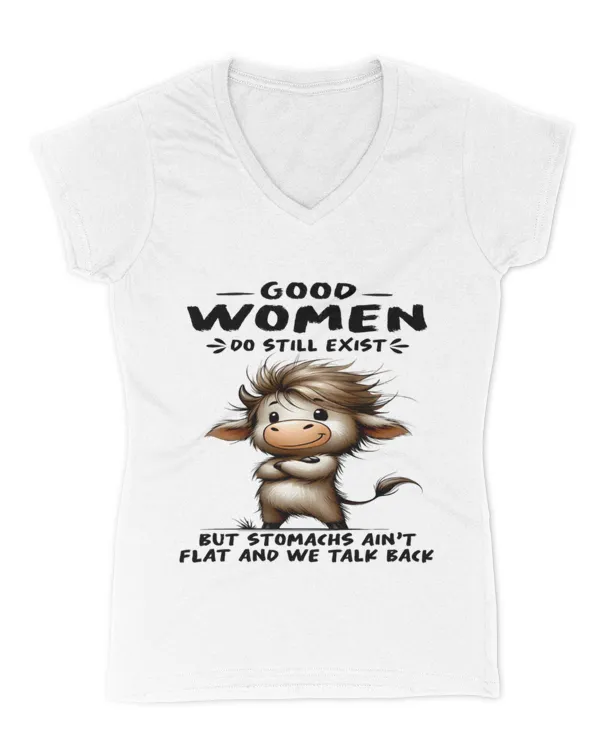 Women's V-Neck T-Shirt