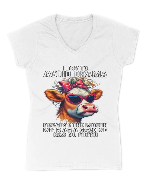 Women's V-Neck T-Shirt