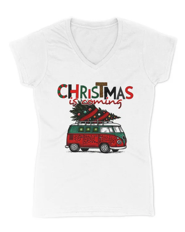 Women's V-Neck T-Shirt