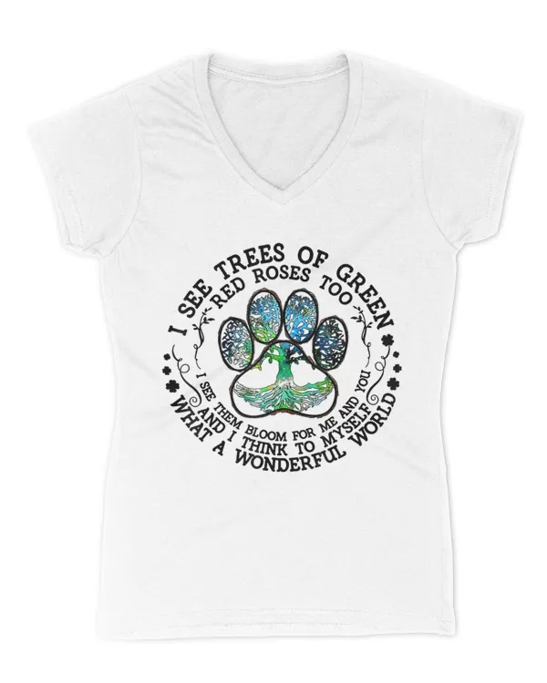 Women's V-Neck T-Shirt