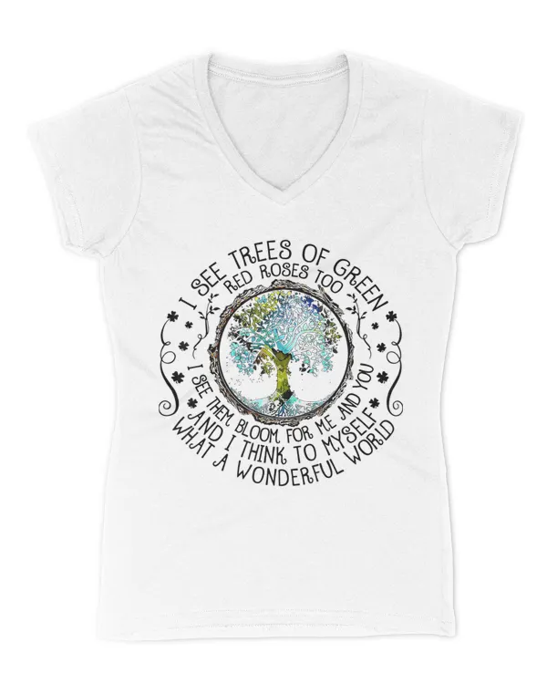 Women's V-Neck T-Shirt