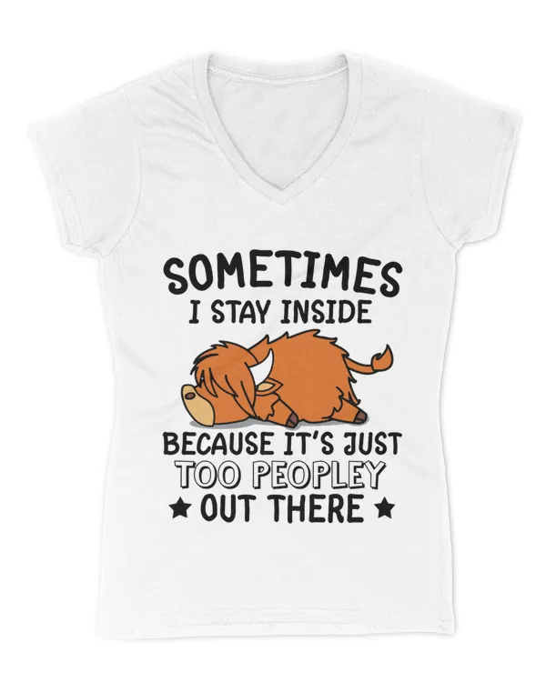Women's V-Neck T-Shirt