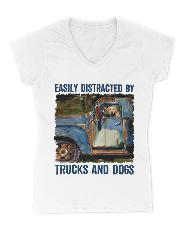 Women's V-Neck T-Shirt