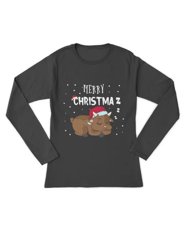 Women's Long Sleeved T-Shirt